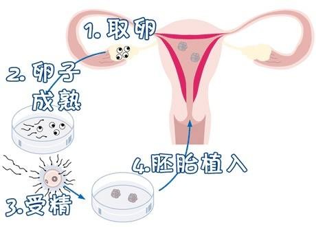 紫韵医疗